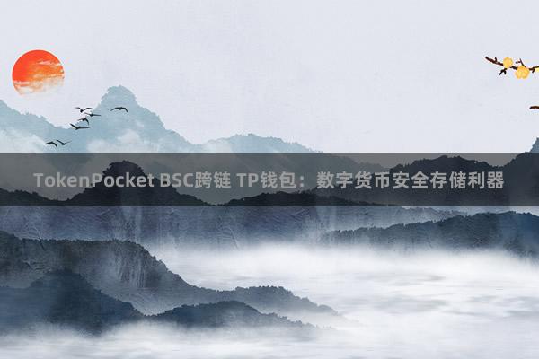 TokenPocket BSC跨链 TP钱包：数字货币安全存储利器